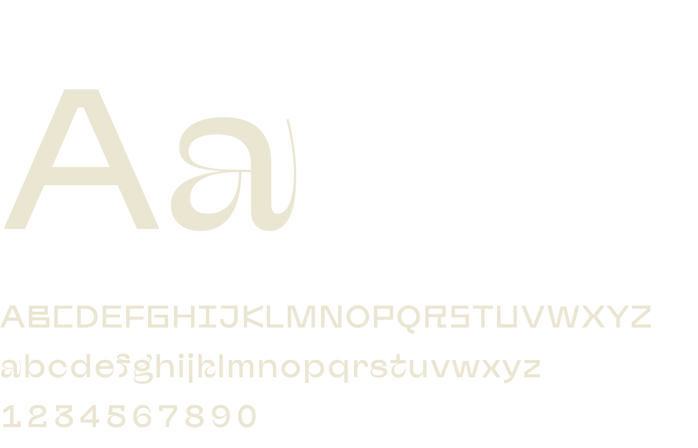 Afronaut specimen
